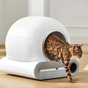 Smart Self-Cleaning Litter Box